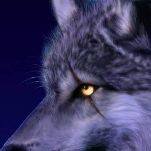 Meet your Posher, Johnnie